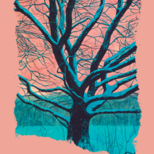 Winter Stories