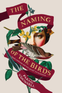 تسمية الطيور